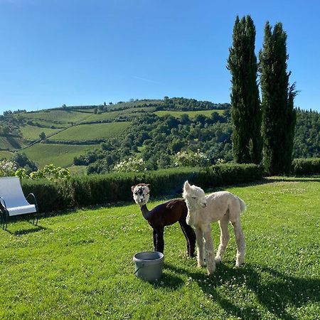 Villa Rignana Chianti Estate, Pool, Tennis,Cook Greve in Chianti Dış mekan fotoğraf