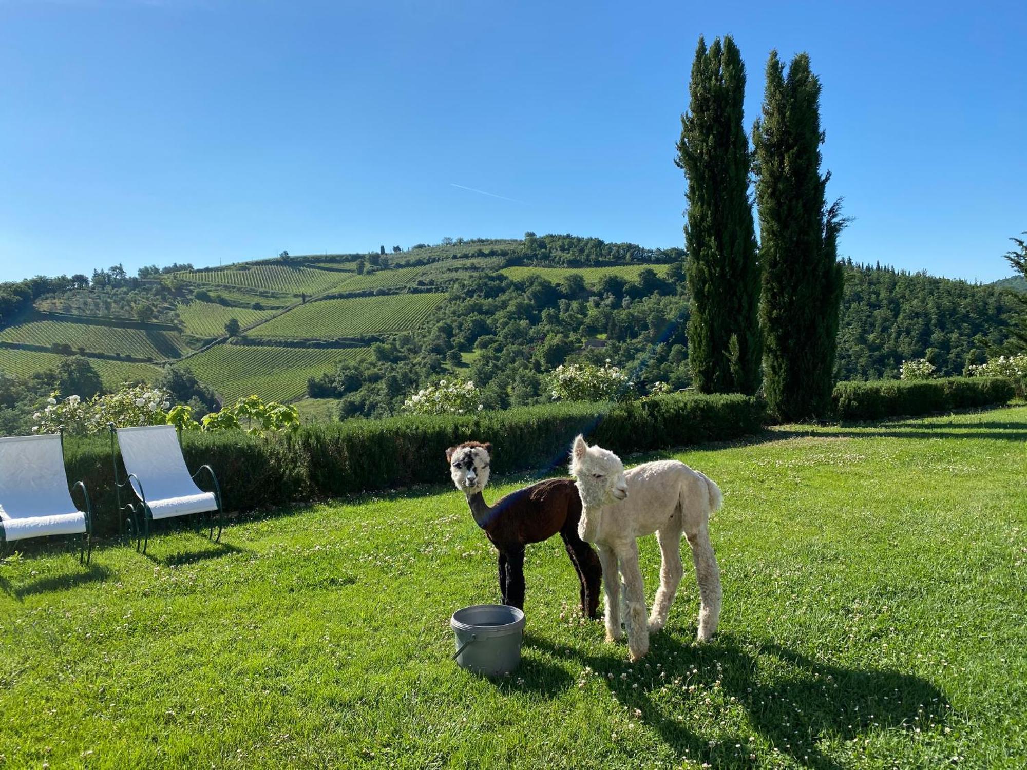 Villa Rignana Chianti Estate, Pool, Tennis,Cook Greve in Chianti Dış mekan fotoğraf